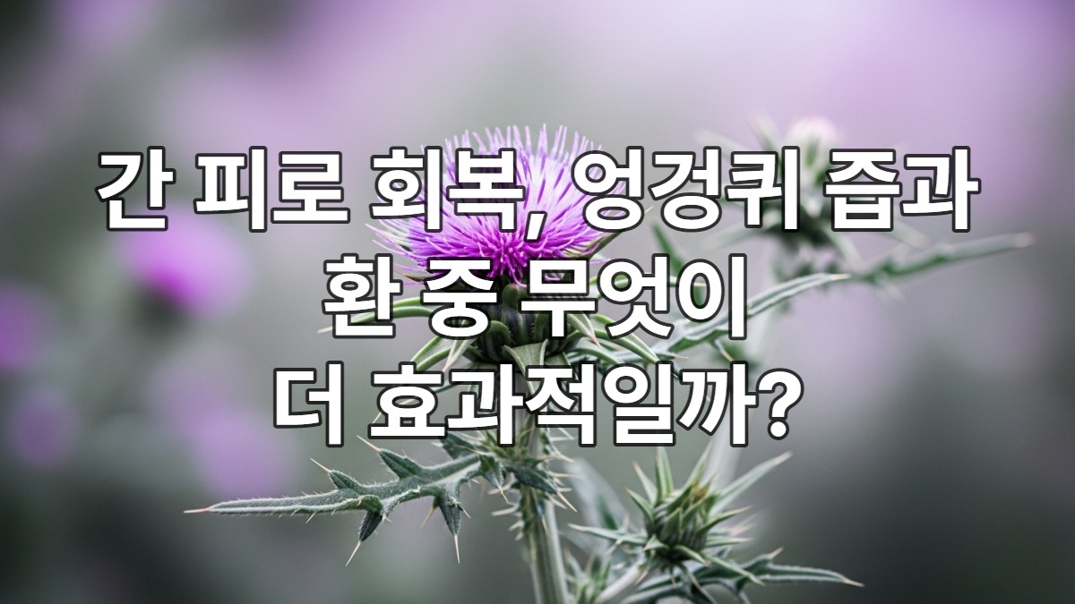 간 피로 회복, 엉겅퀴 즙과 환 중 무엇이 더 효과적일까?