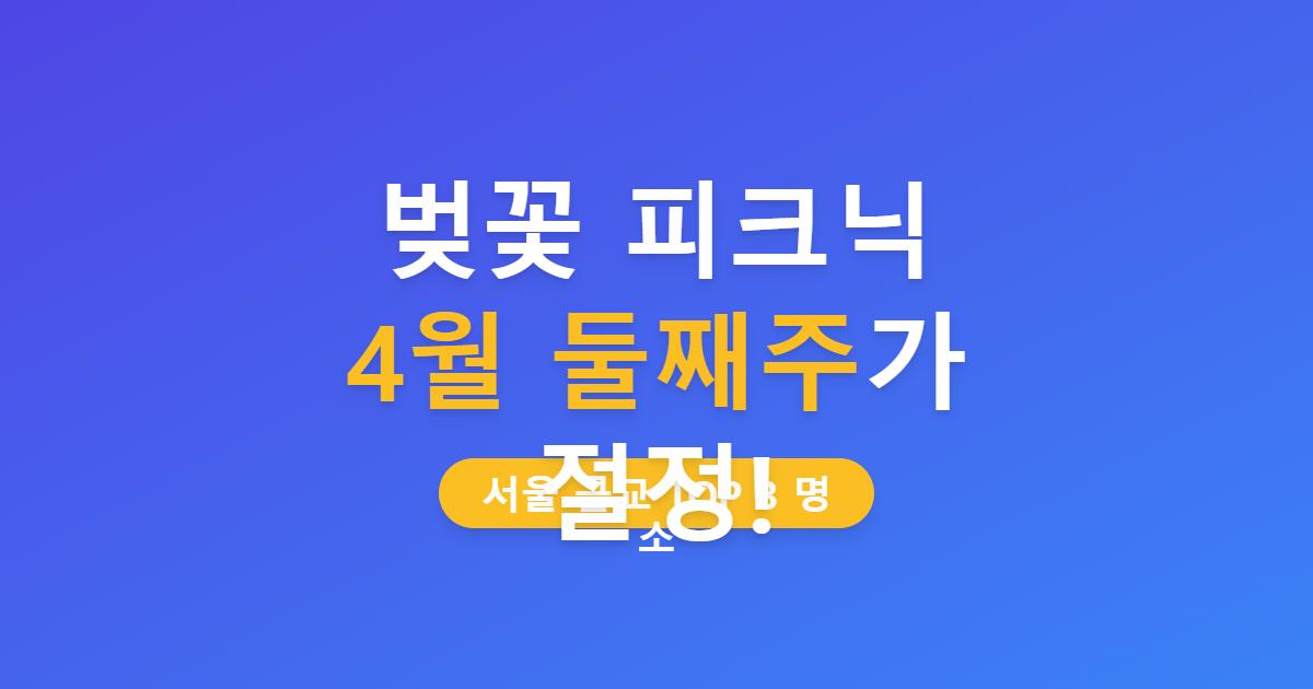 벚꽃 피크닉 *4월 둘째주*가 절정!