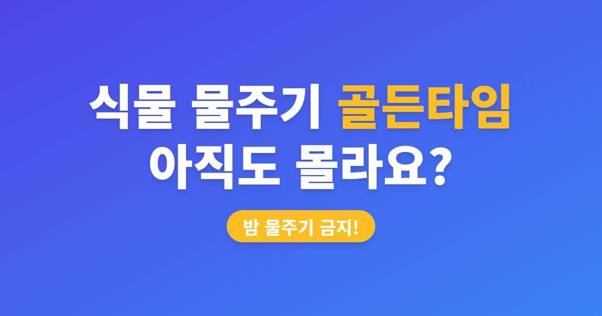 식집사